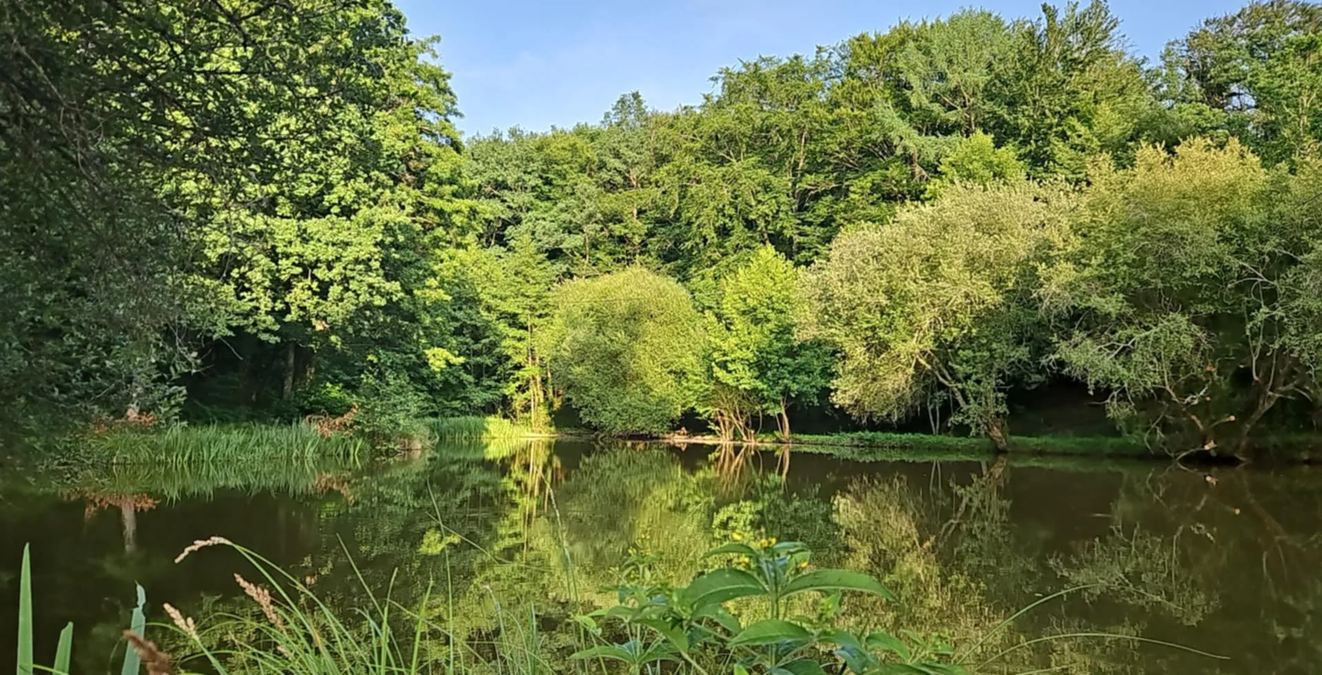 Maison de plain-pied en pleine nature avec accès à un étang en Corrèze