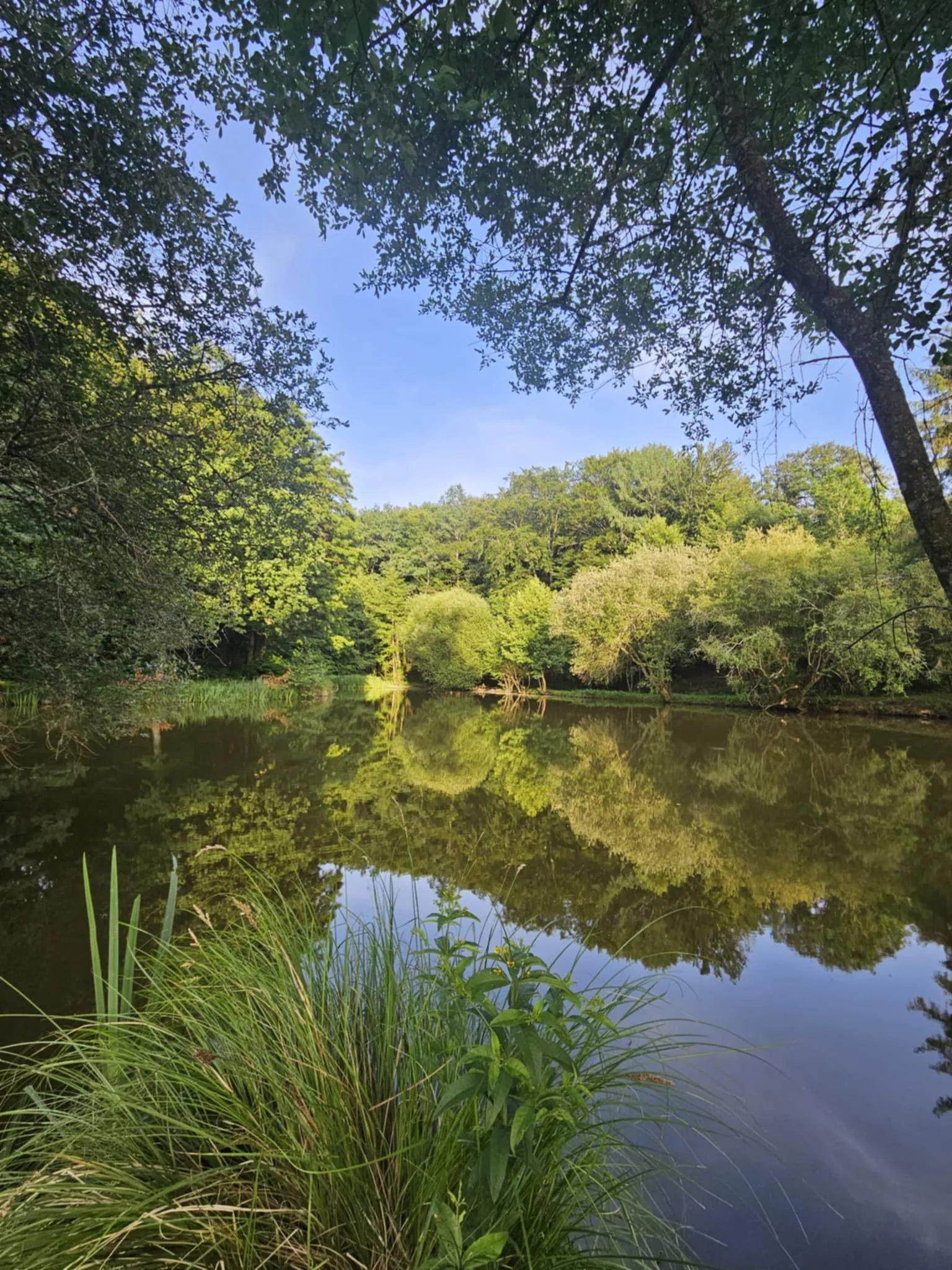 Maison de plain-pied en pleine nature avec accès à un étang en Corrèze