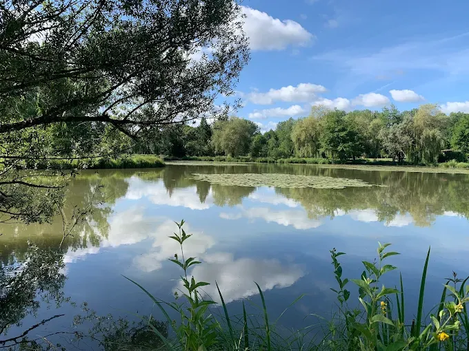 Chalets au bord d’un étangs au cœur du périgord