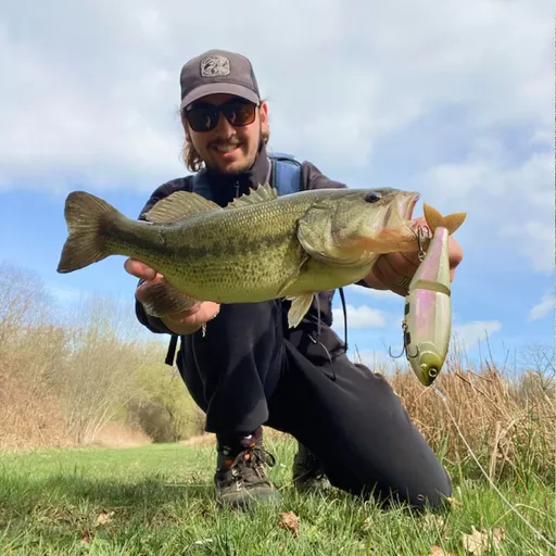 Chalets au bord d’un étangs au cœur du périgord