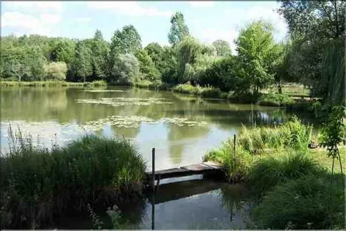 Chalets au bord d’un étangs au cœur du périgord