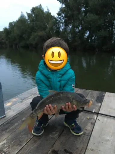 Tinyhouse sur l'étang de Bramefort