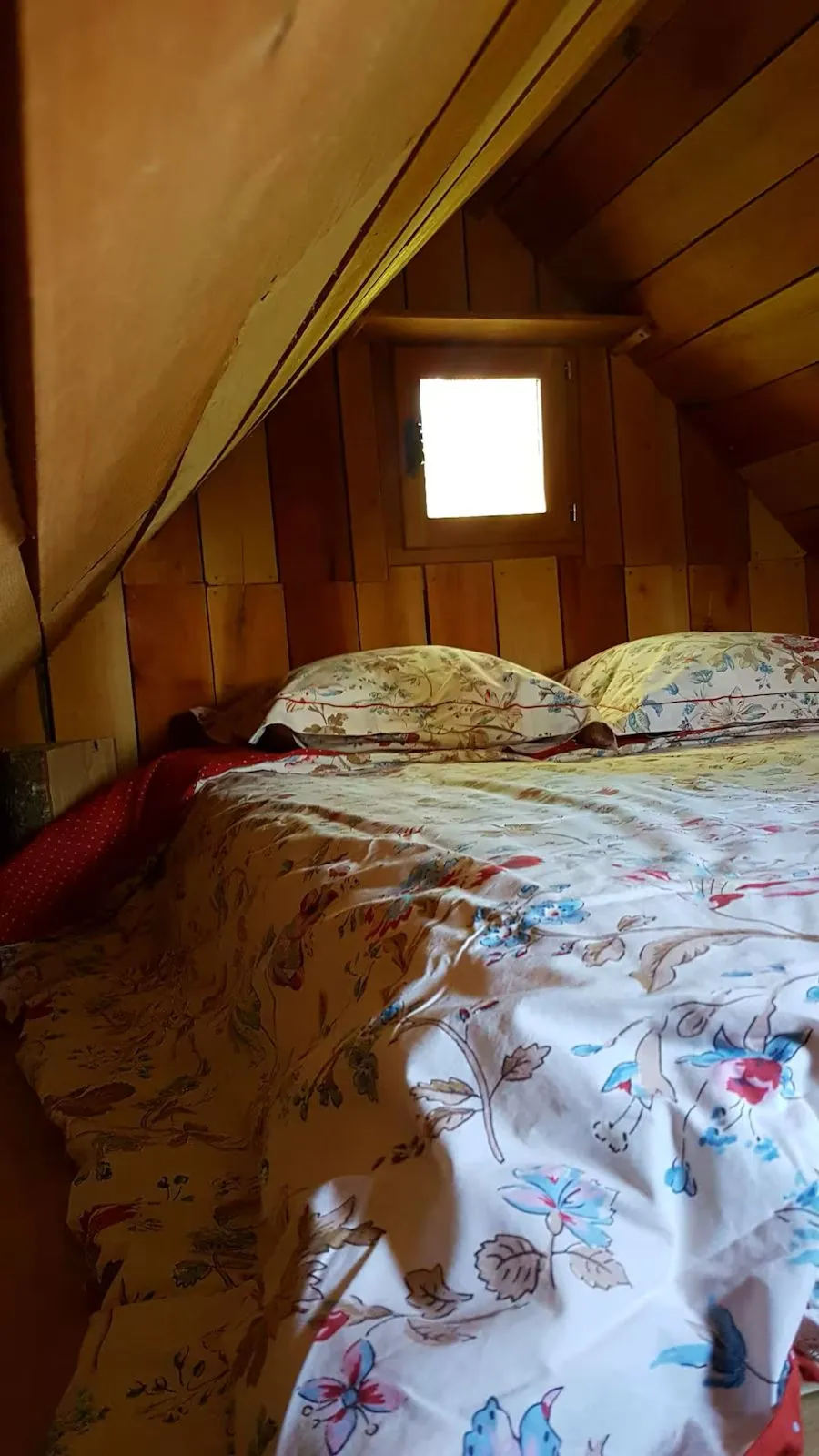 Cabane sur pilotis pour des amoureux de la nature en Franche-Comté