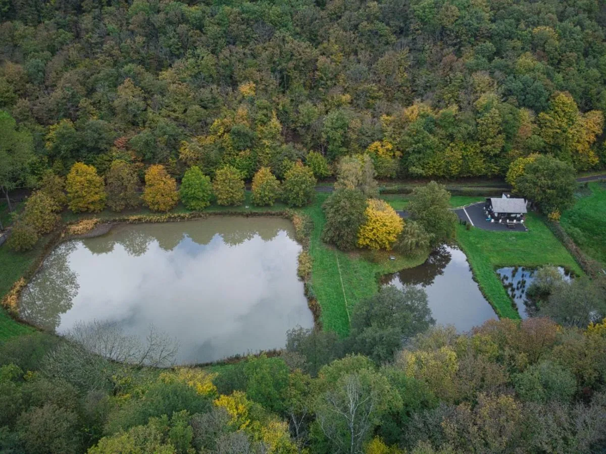 Chalet tout équipé avec étang privé pour les amoureux de la nature