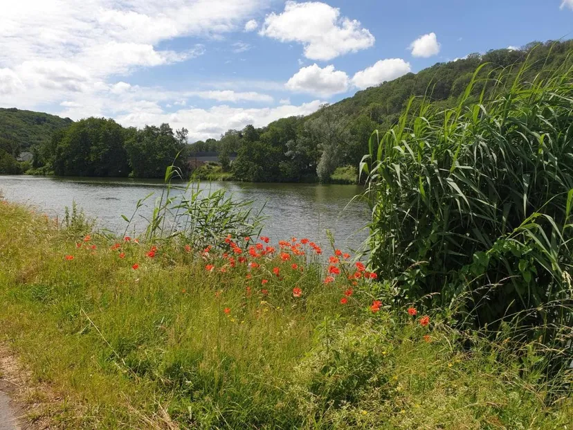Chalet tout équipé avec étang privé pour les amoureux de la nature
