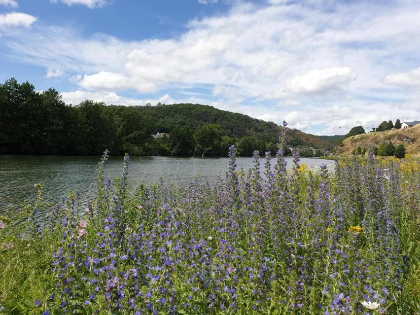 Magnifique chalet en bordure de Meuse avec étang privé