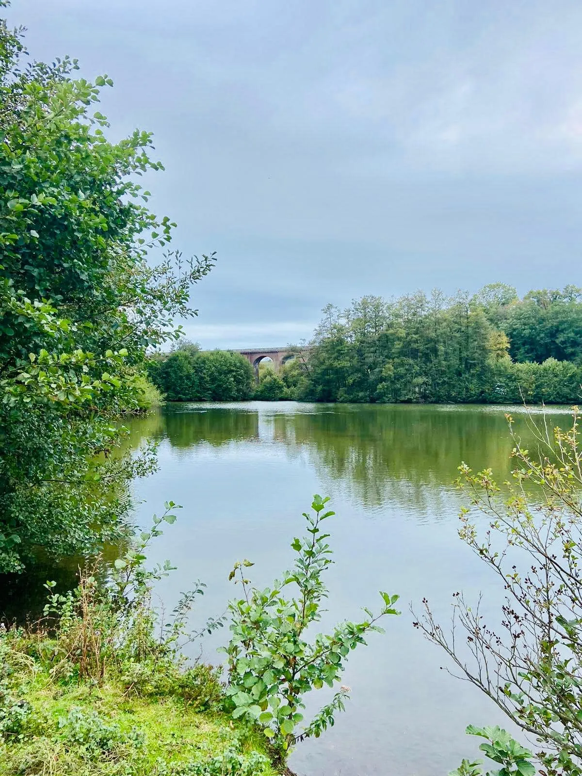 Logement avec deux étangs de 3ha pour les vacances