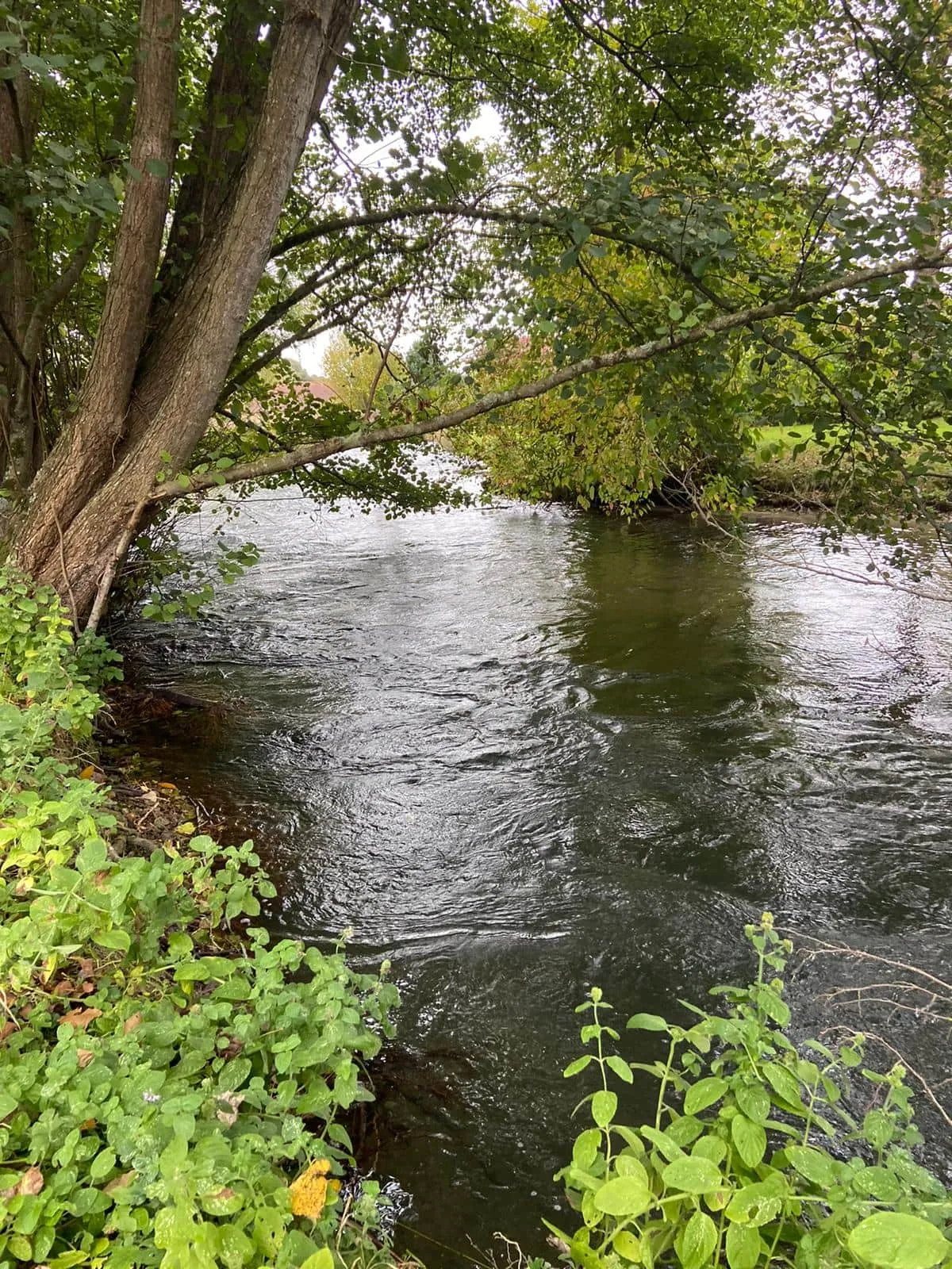 Logement avec deux étangs de 3ha pour les vacances