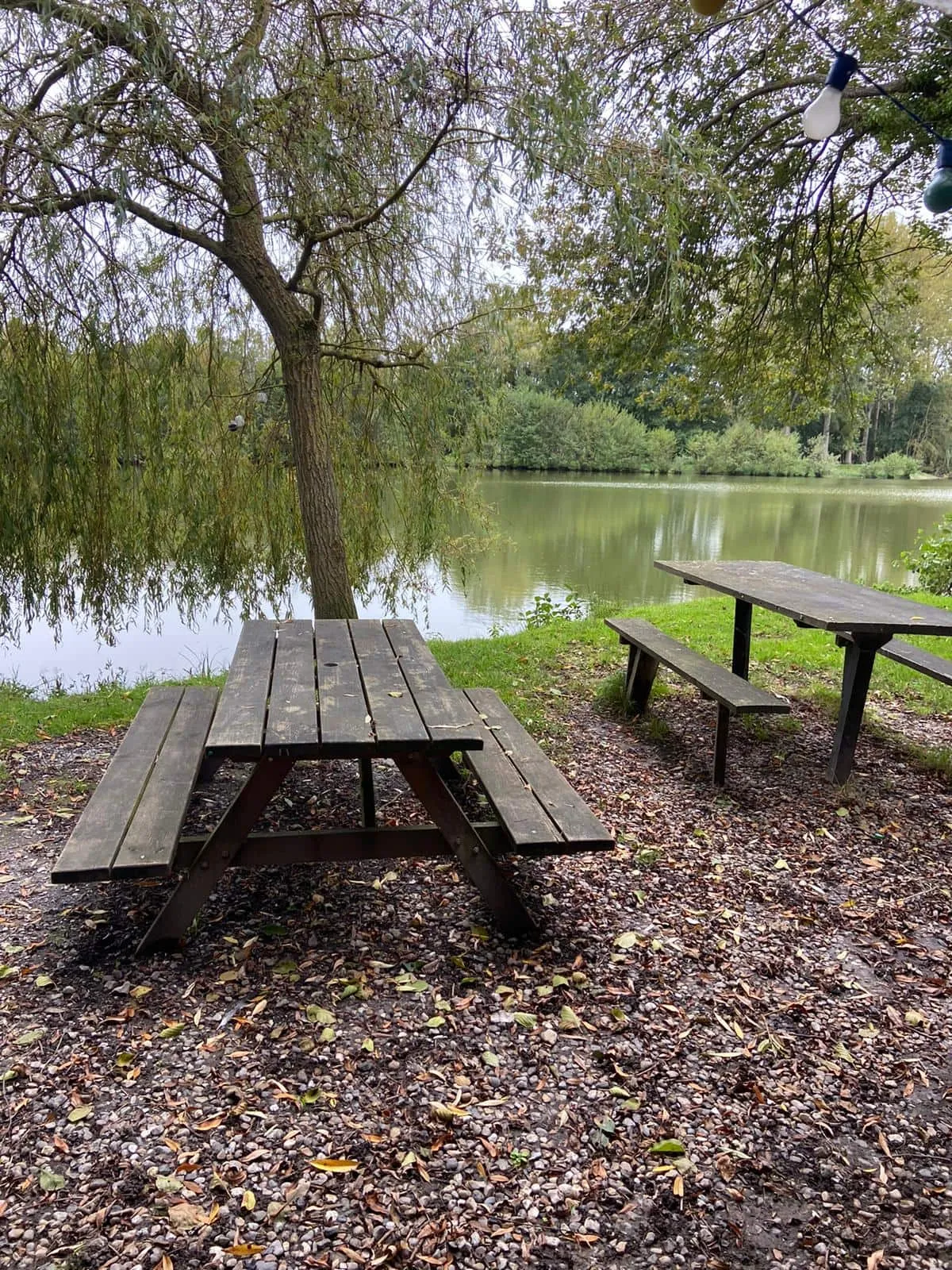 Logement avec deux étangs de 3ha pour les vacances