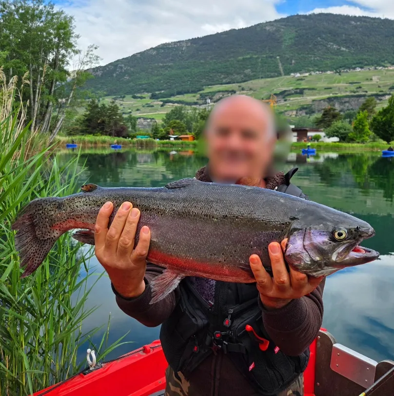 Location d'un lac de pêche avec des truites, saumons et poissons d'exception en Suisse