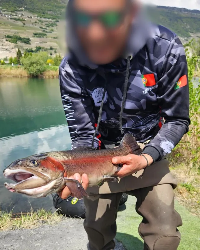 Location d'un lac de pêche avec des truites, saumons et poissons d'exception en Suisse