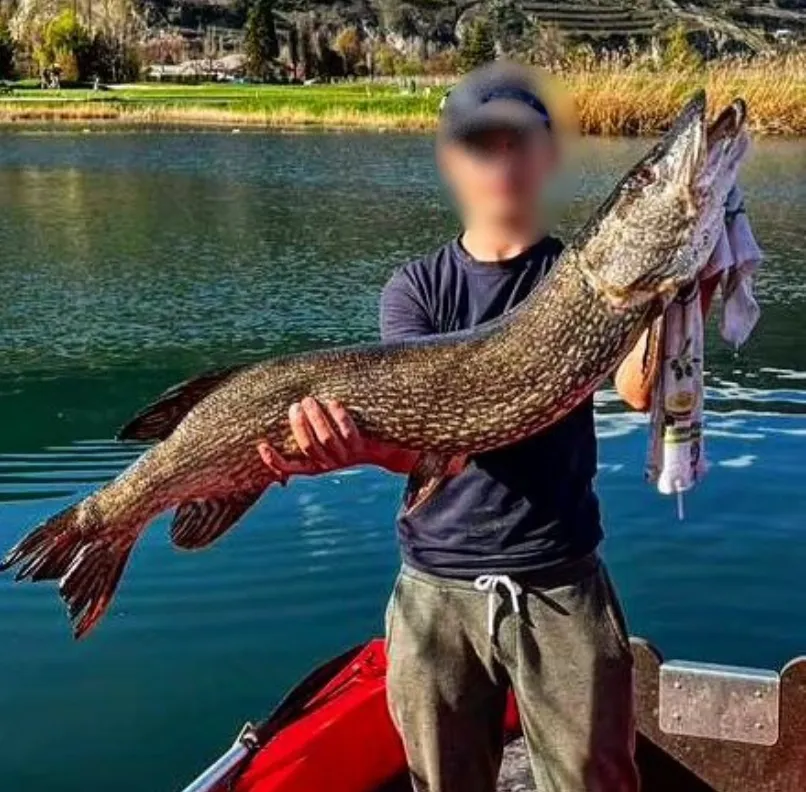 Location d'un lac de pêche avec des truites, saumons et poissons d'exception en Suisse