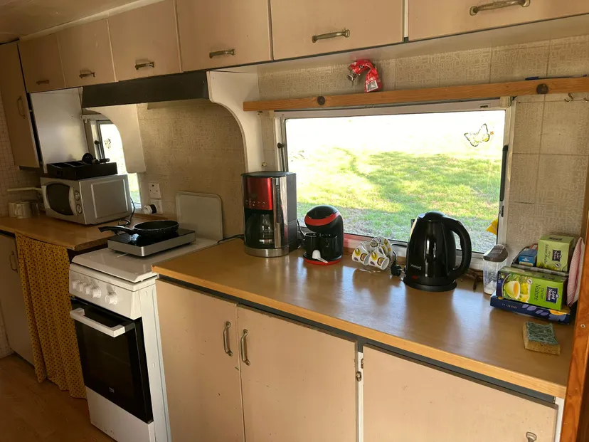 Bungalow 2 tout confort avec étang privé de 3 ha et accès jacuzzi