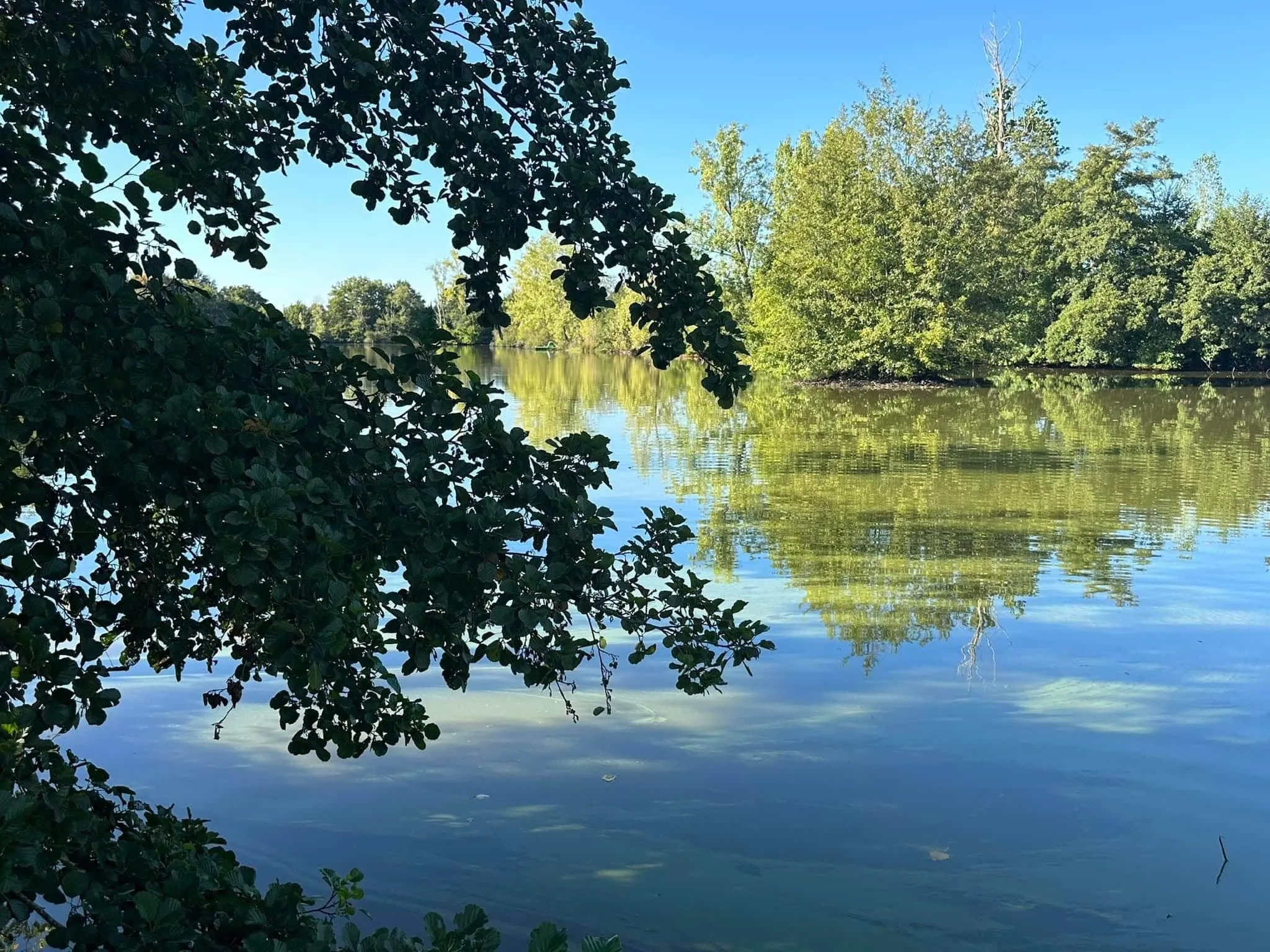 Bungalow 1 tout équipé avec étang de 3ha à deux pas de la ville