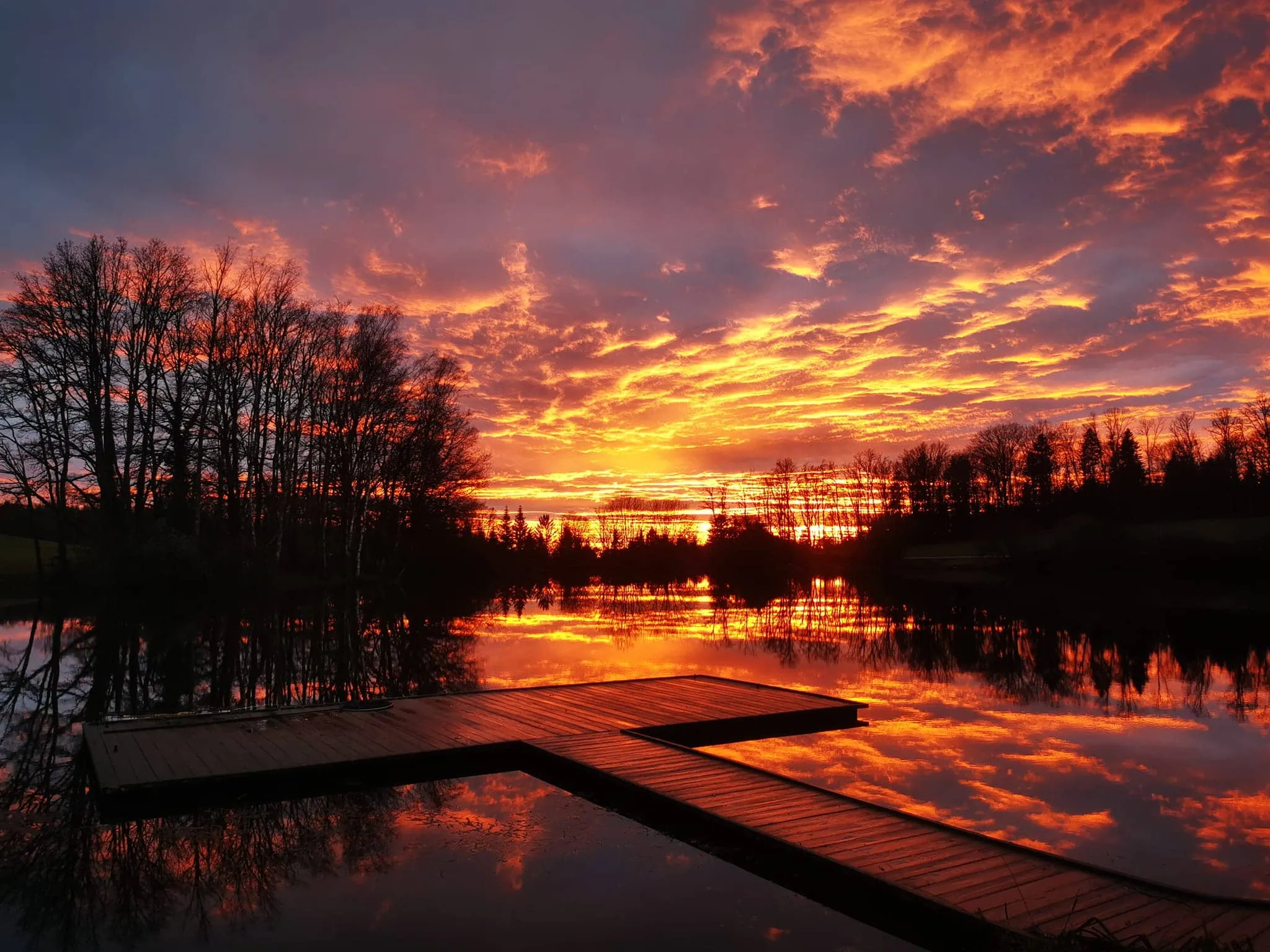 Vosges du Sud – 6 people – Chalet N, PMR by a private pond