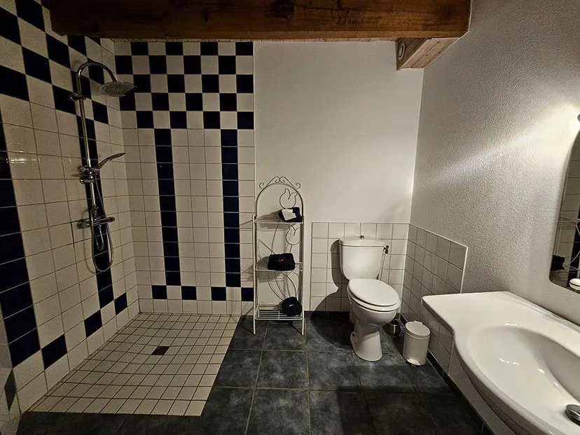 Vosges du Sud – 8 personnes – Grande maison avec terrasses en bord d’étang