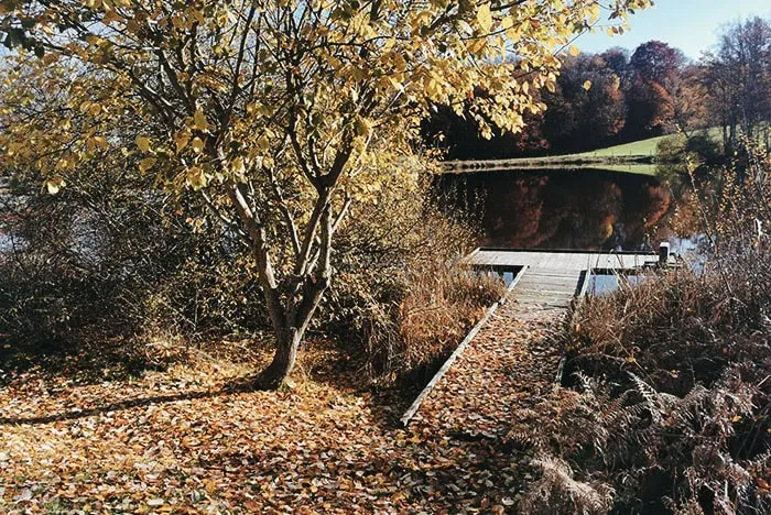 Vosges du Sud – 4 personnes – Chalet sur étang privé