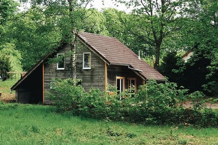 Région Vosges‑Franche‑Comté – 6 personnes – Chalet bois, terrain de jeux et étang privé