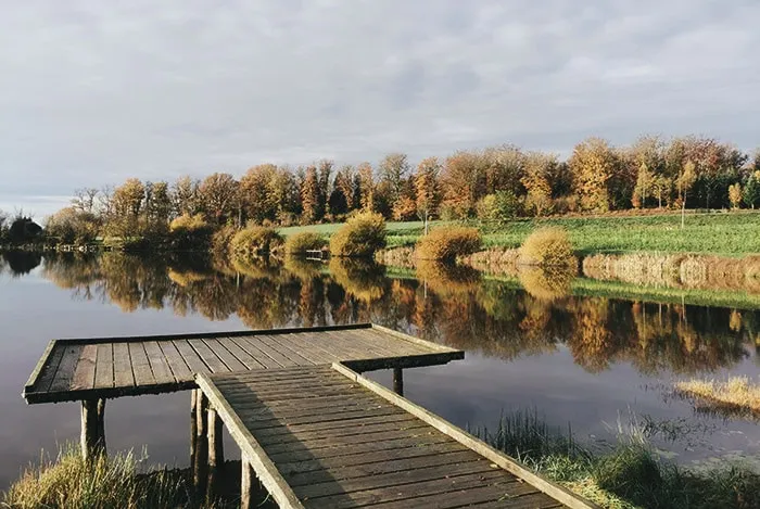 Vosges du Sud – 6 people – Chalet N, PMR by a private pond