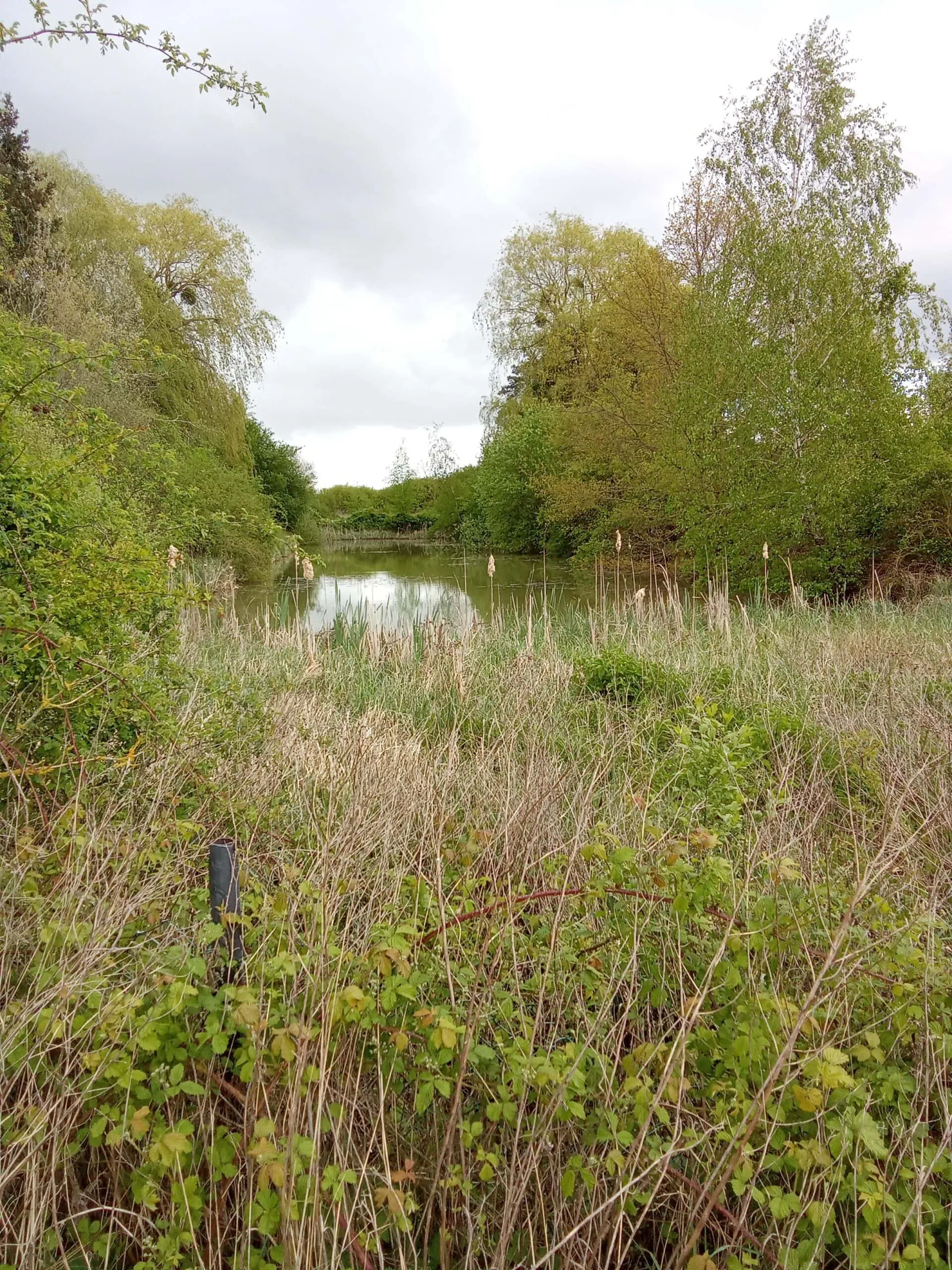 Étang à louer pour camper