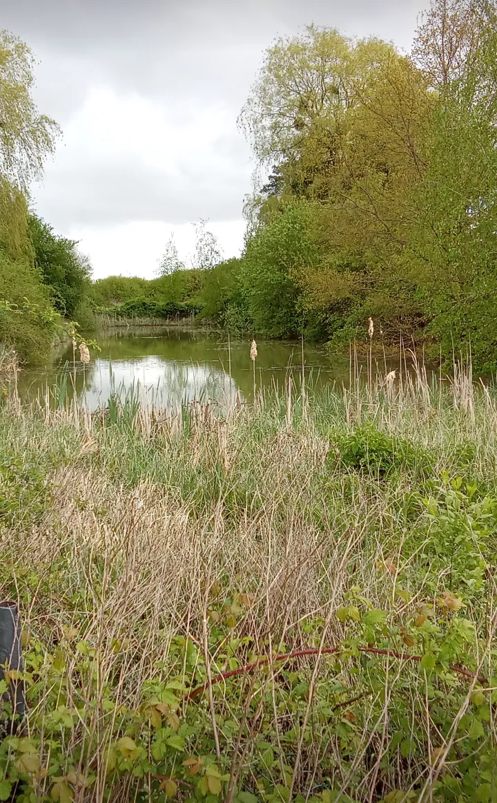 Étang à louer pour camper
