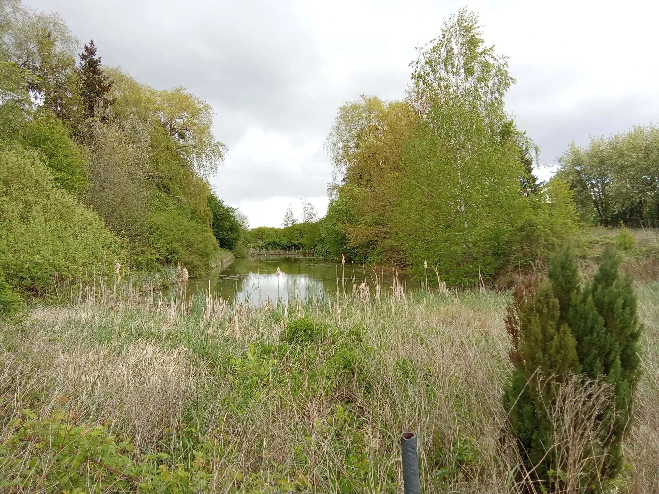 Étang à louer pour camper