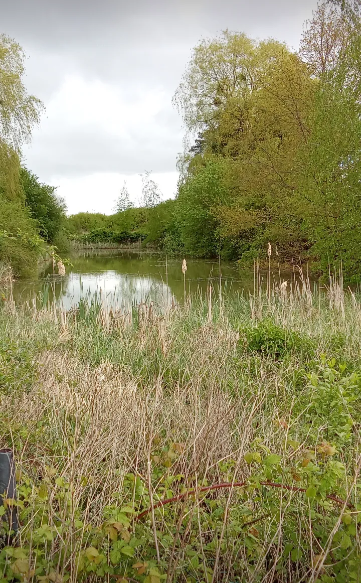 Étang à louer pour camper