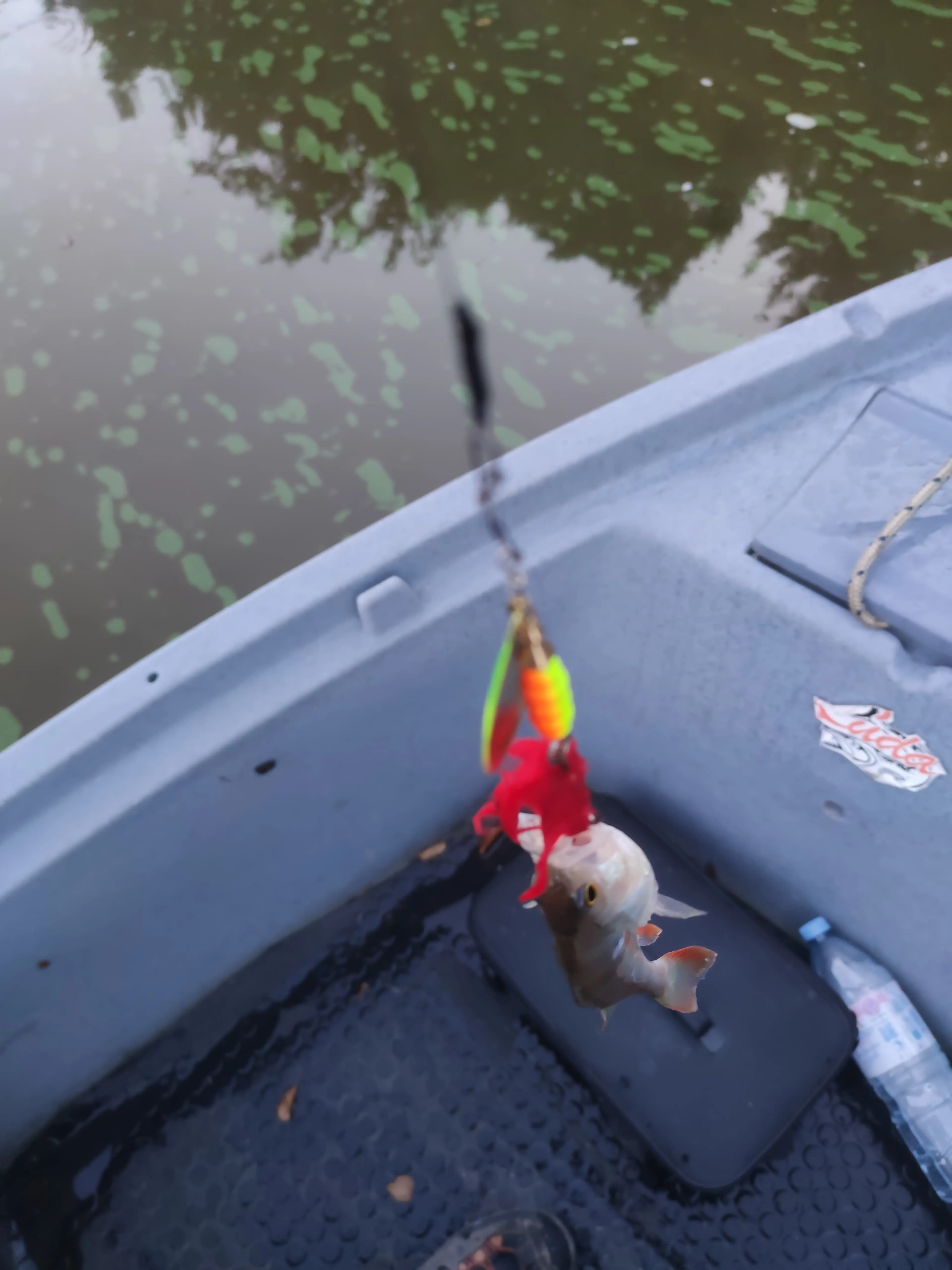 Gite du château avec étang privé de 18 ha - 2 à 8 personnes