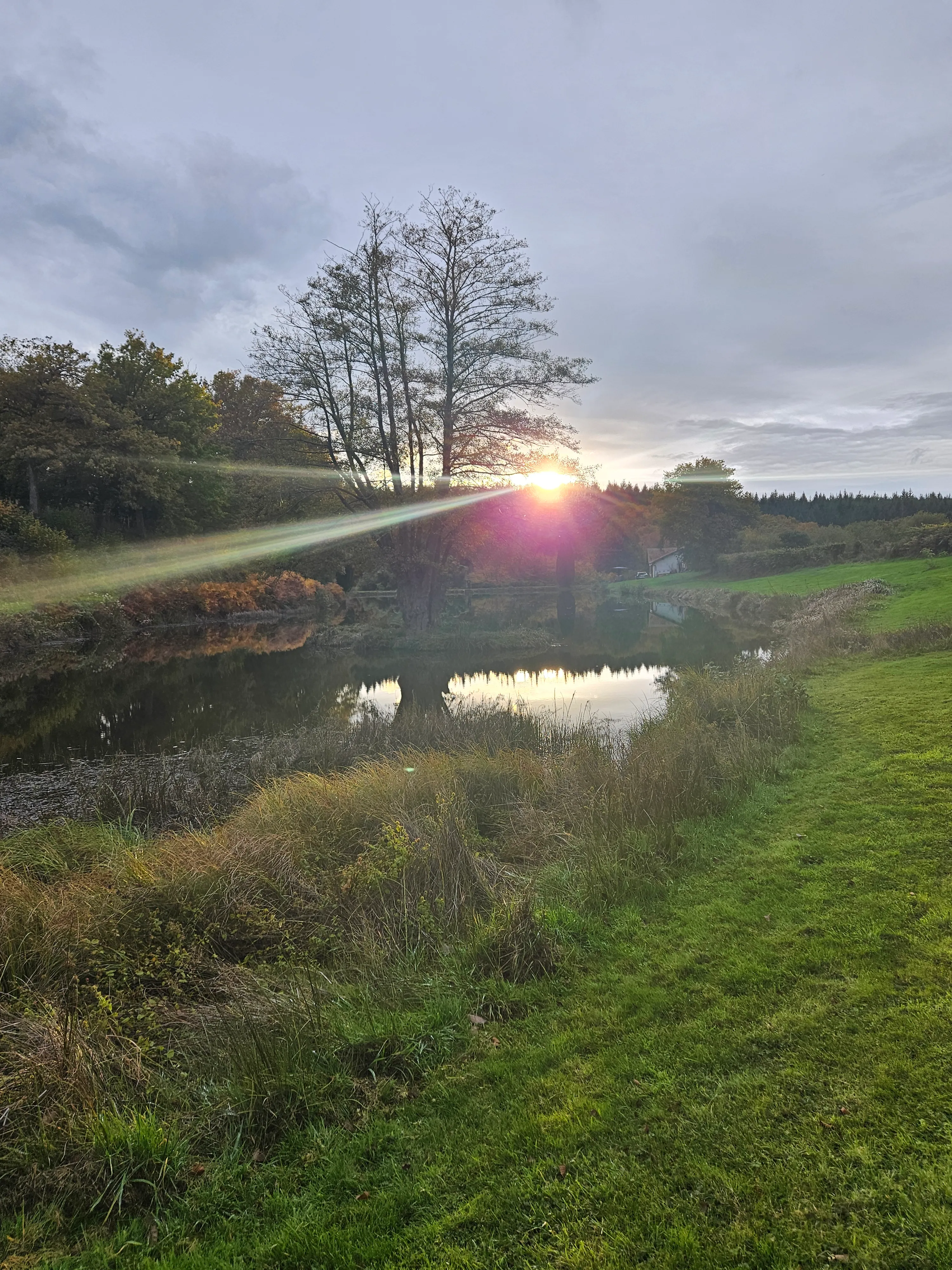 Maison tout équipée avec étang privé en Auvergne-Rhône-Alpes