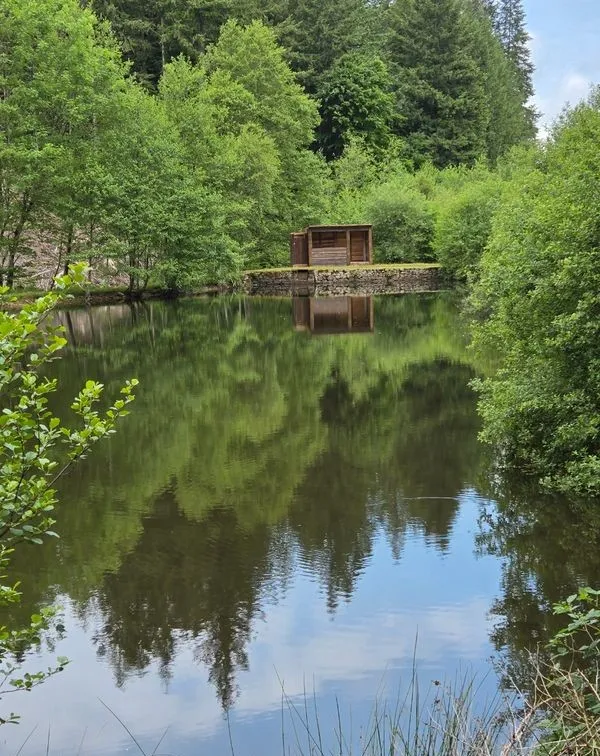 Séjour dans l’Allier – jusqu’à 10 personnes – étang privé au cœur de la nature