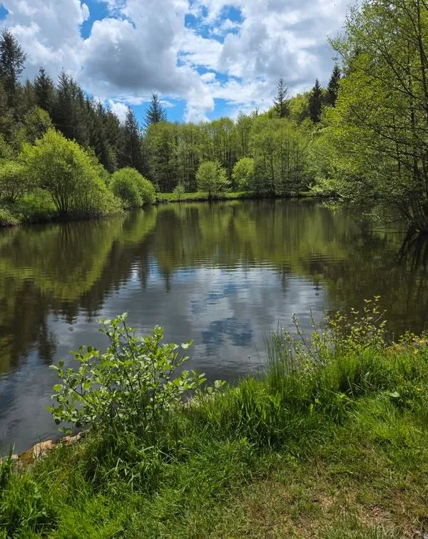 Séjour dans l’Allier – jusqu’à 10 personnes – étang privé au cœur de la nature