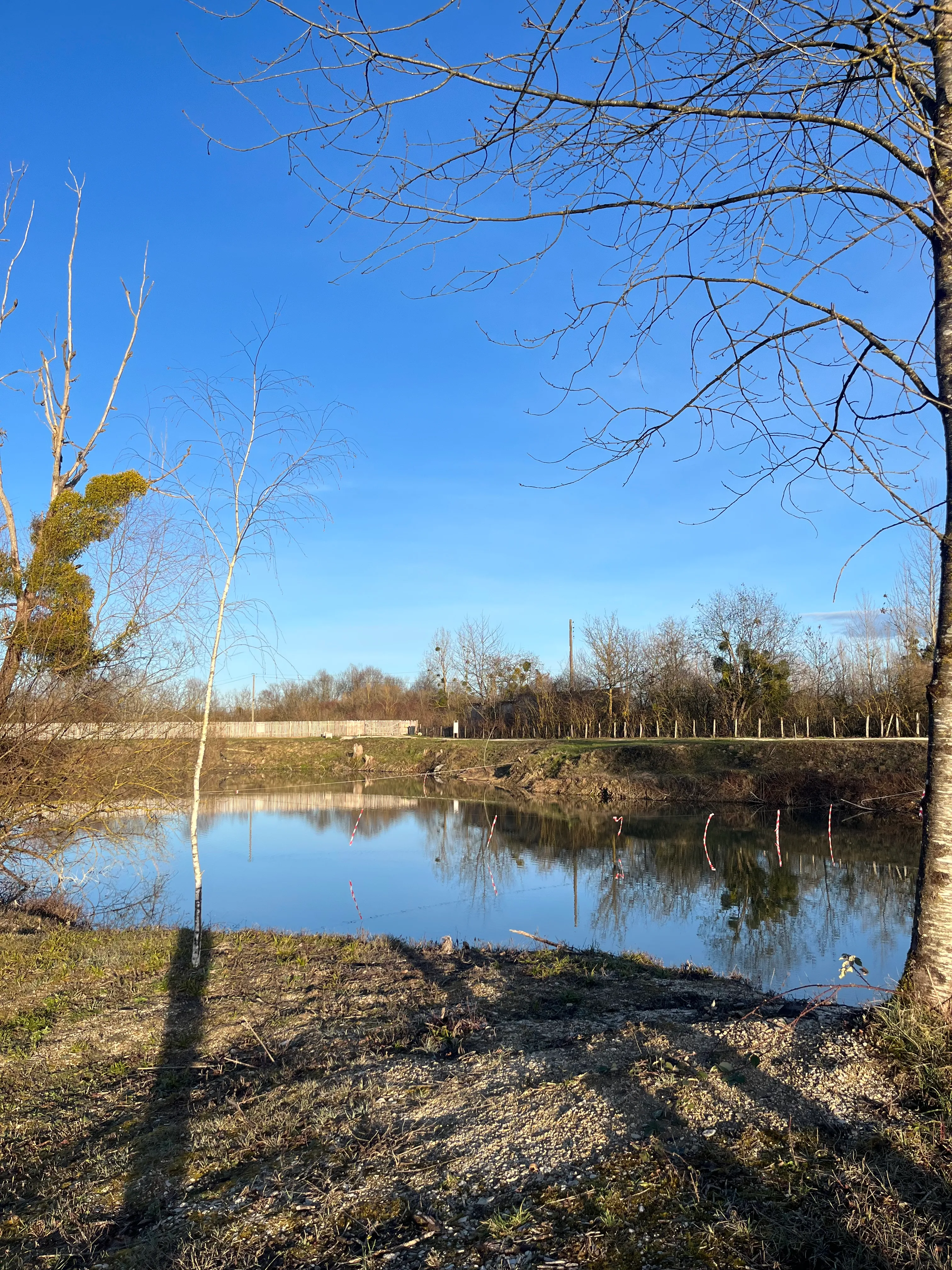 Étang avec yourte aménagée et forte population de poissons !