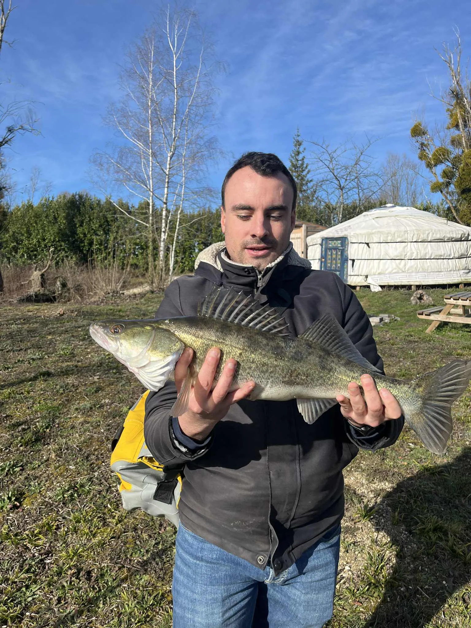 Étang avec yourte aménagée et forte population de poissons !