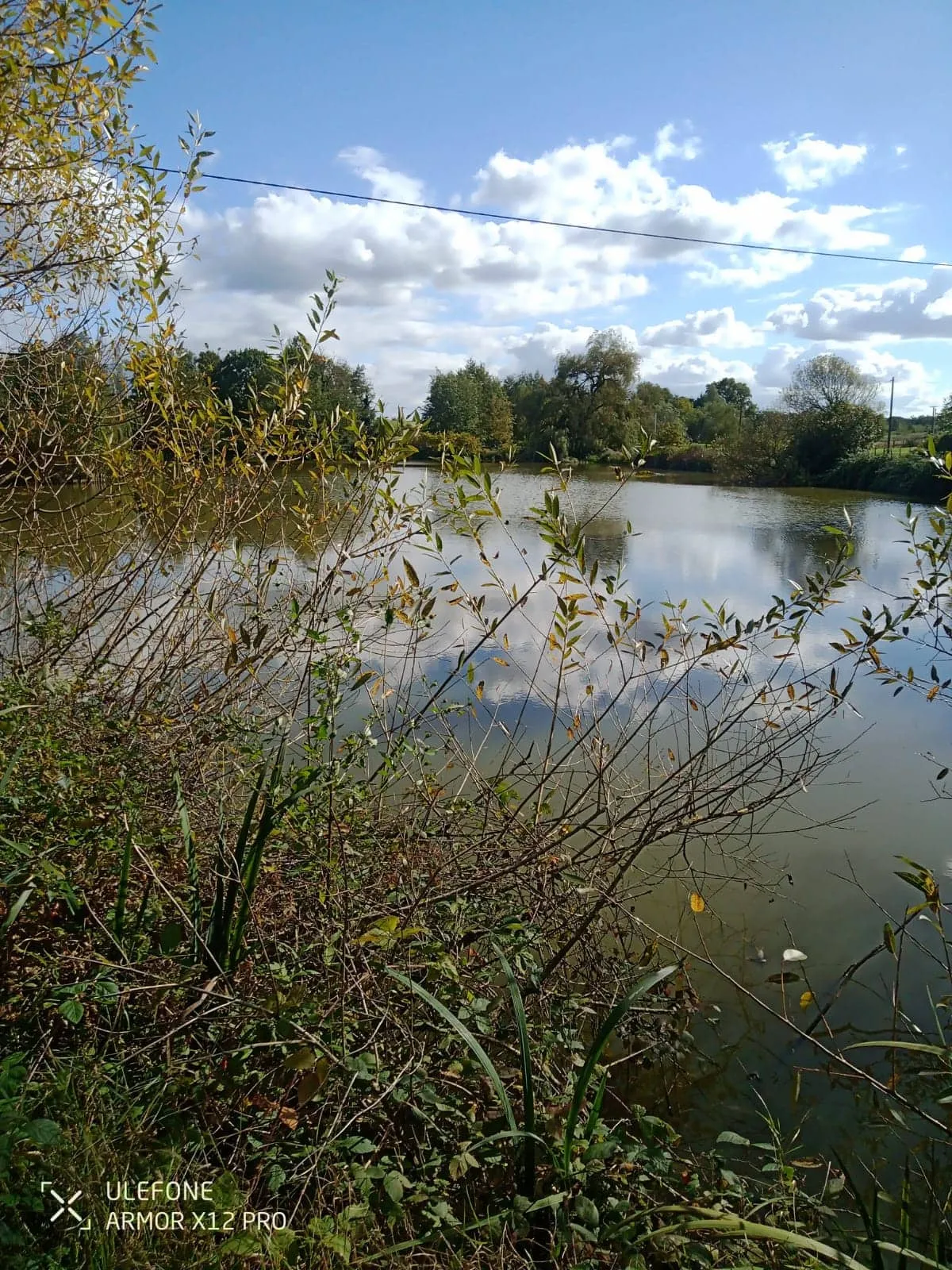 Etang de 2.5ha avec son mobil home en Saône-et-Loire