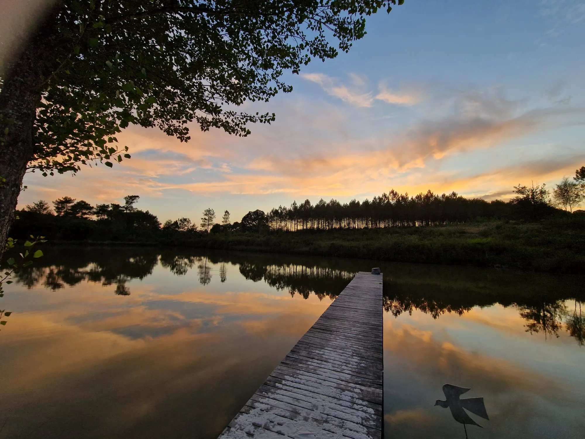 Étang privé au cœur du Périgord Blanc à 1h15 de Bordeaux