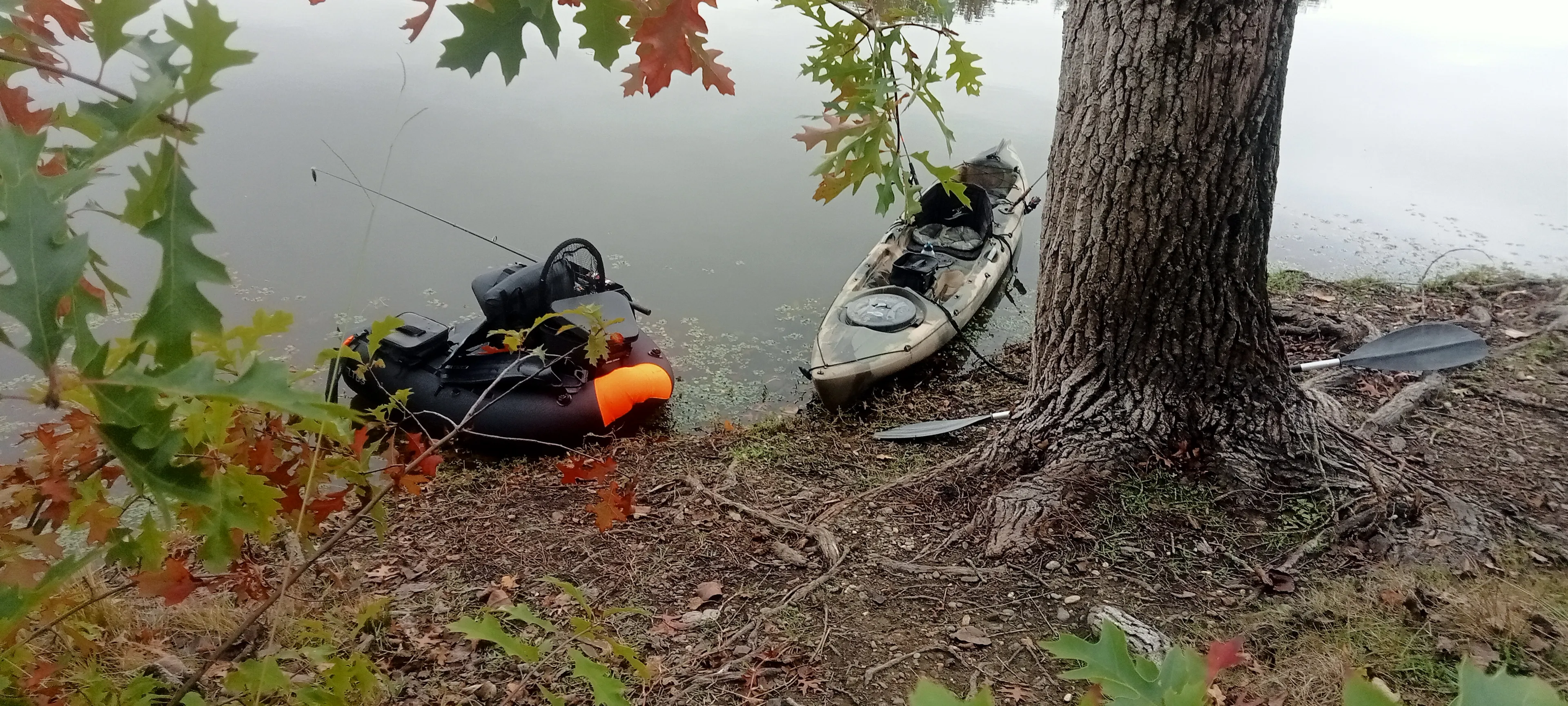 Deux étangs de 3ha à louer dans les Landes