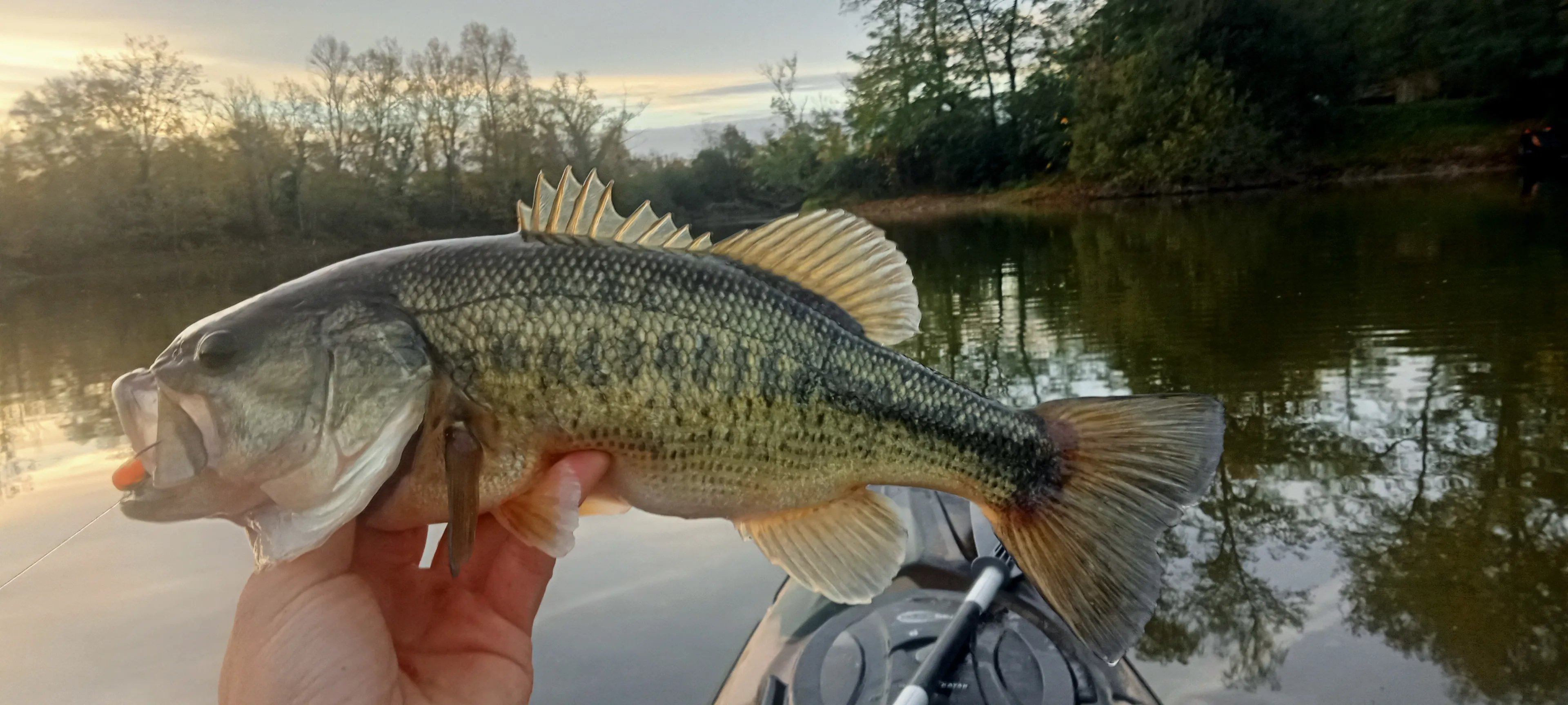 Deux étangs de 3ha à louer dans les Landes