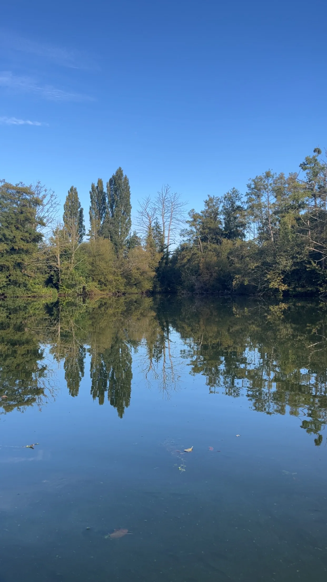 Location d’étangs privés avec chalet et espace camping dans l'Eure