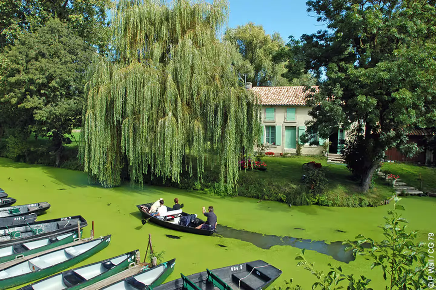 Cottage pour 2 personnes niché au coeur du marais poitevin