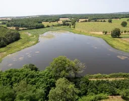 Marguerite d'Hautefeuille