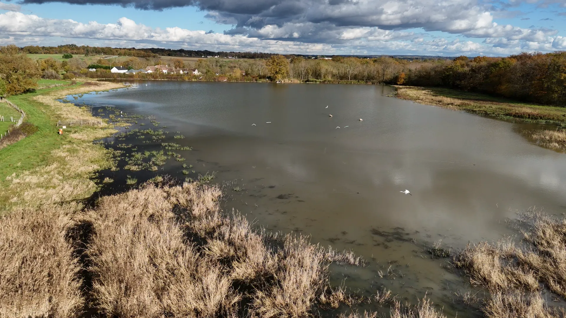 Pêche dans un étang sauvage préservé et très sauvage