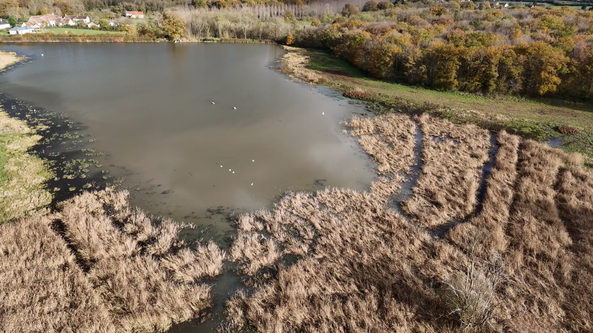 Pêche dans un étang sauvage préservé et très sauvage