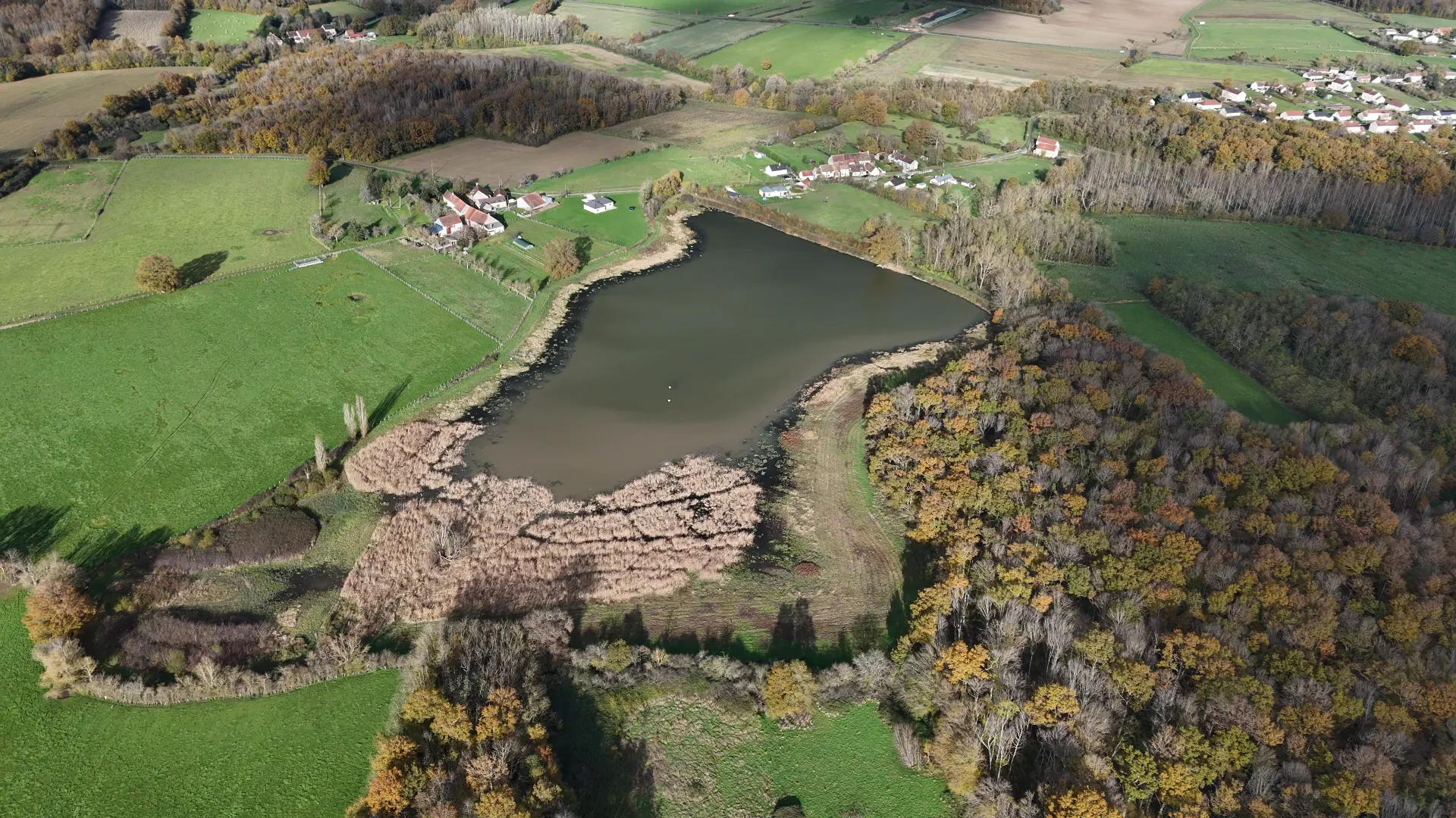 Pêche dans un étang sauvage préservé et très sauvage