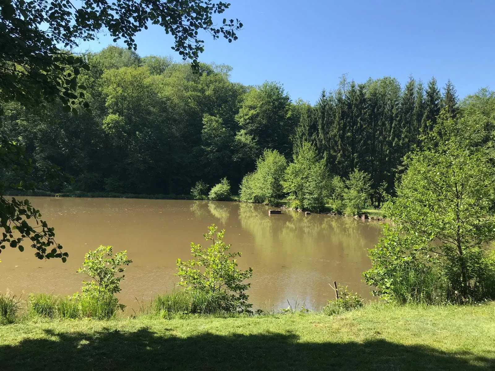 Maison champêtre et son étang en Haute-Saône