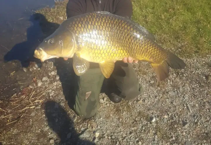 Poste de pêche / journée de pêche sur un étang de 11ha