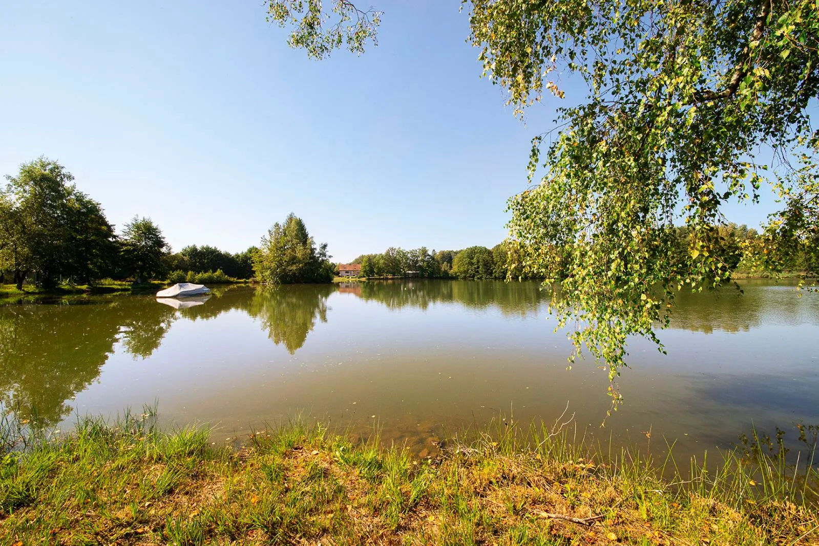Poste de pêche / journée de pêche sur un étang de 11ha