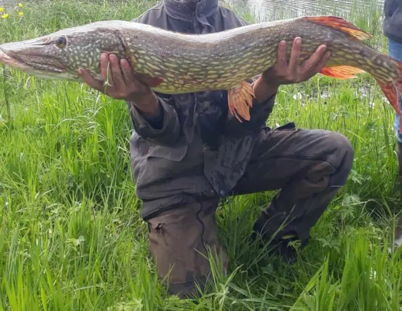 Poste de pêche / journée de pêche sur un étang de 11ha