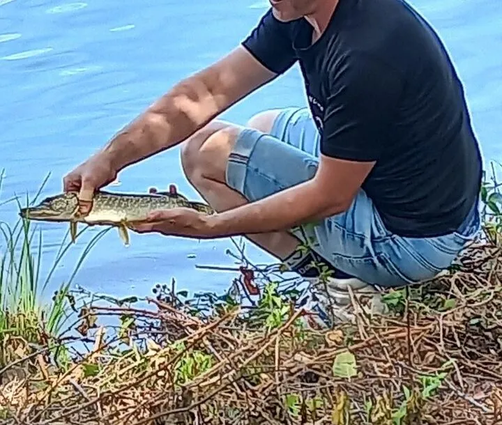Poste de pêche / journée de pêche sur un étang de 11ha