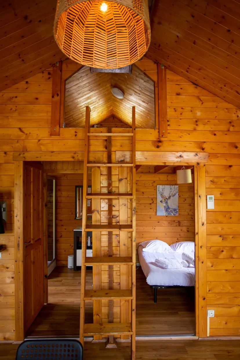 Chalet en bois avec bain nordique en bord d’étang – Hauts-de-France – 5 - 7 personnes