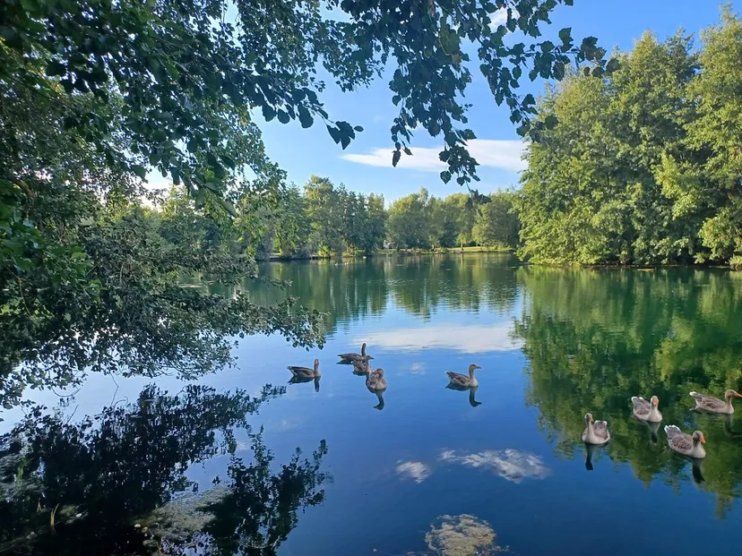 Mobile-home avec spa dans l’Oise – 6 personnes – en bord d’étang pour une pêche familiale